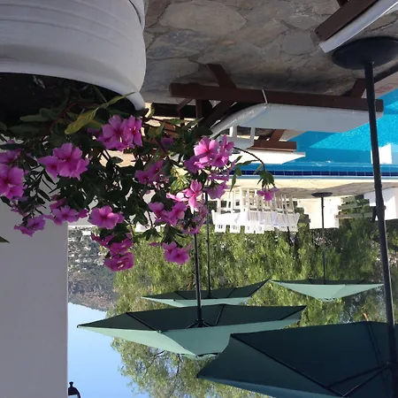 Panorama Bodrum 3* גולטורקבוקו