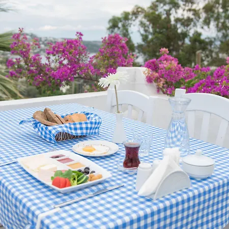 Panorama Bodrum 3* غولتوركبوكو