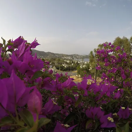 Ξενοδοχείο Panorama Bodrum 3*