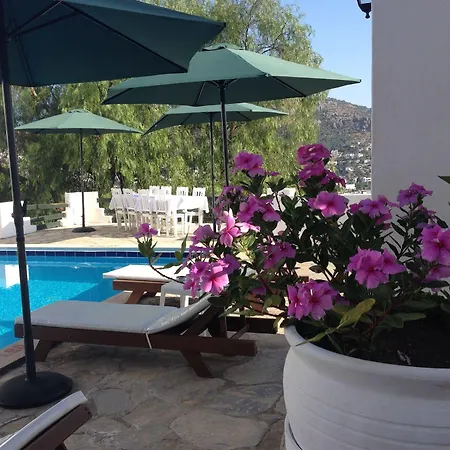 Panorama Bodrum Ξενοδοχείο Golturkbuku