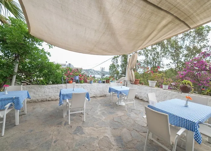 Hotel Panorama Bodrum 3*