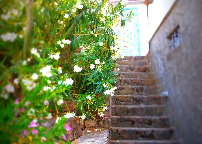 Hotel Panorama Bodrum Göltürkbükü