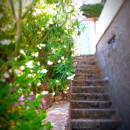 호텔 Panorama Bodrum 골터크부쿠