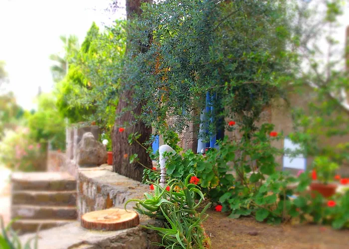 Panorama Bodrum Göltürkbükü