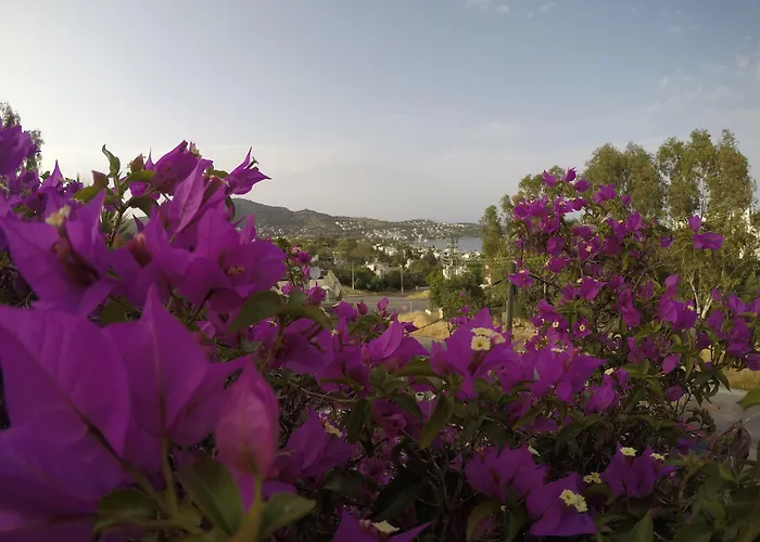 Ξενοδοχείο Panorama Bodrum 3*