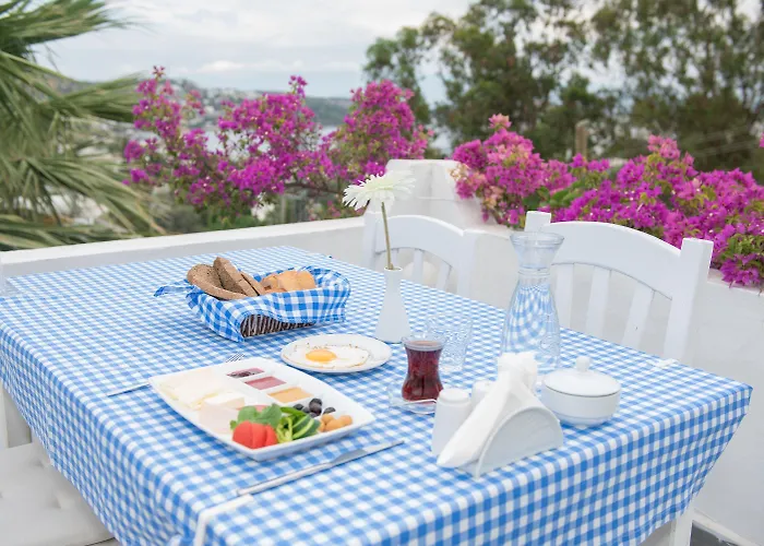 Panorama Bodrum 3* Golturkbuku